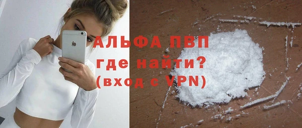 хмурый Арсеньев