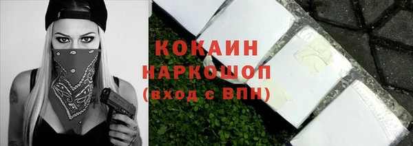 хмурый Арсеньев