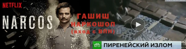 хмурый Арсеньев
