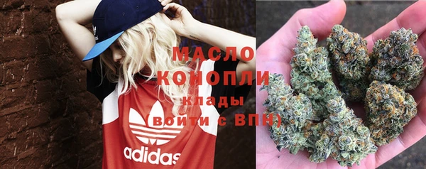 хмурый Арсеньев