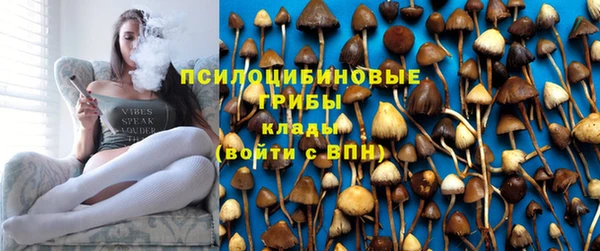 кокс Армянск