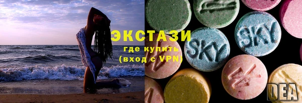 хмурый Арсеньев