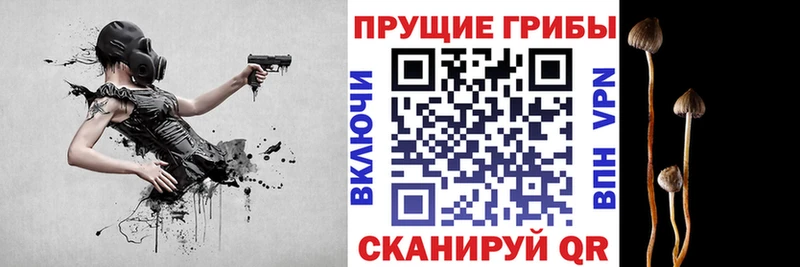 Купить где  Туран  Галлюциногенные грибы мицелий 